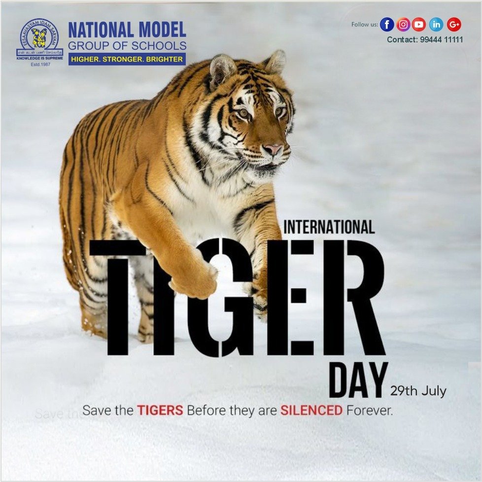 International Tiger Day - Raise Your Voice for the Roar That Must Be Heard
